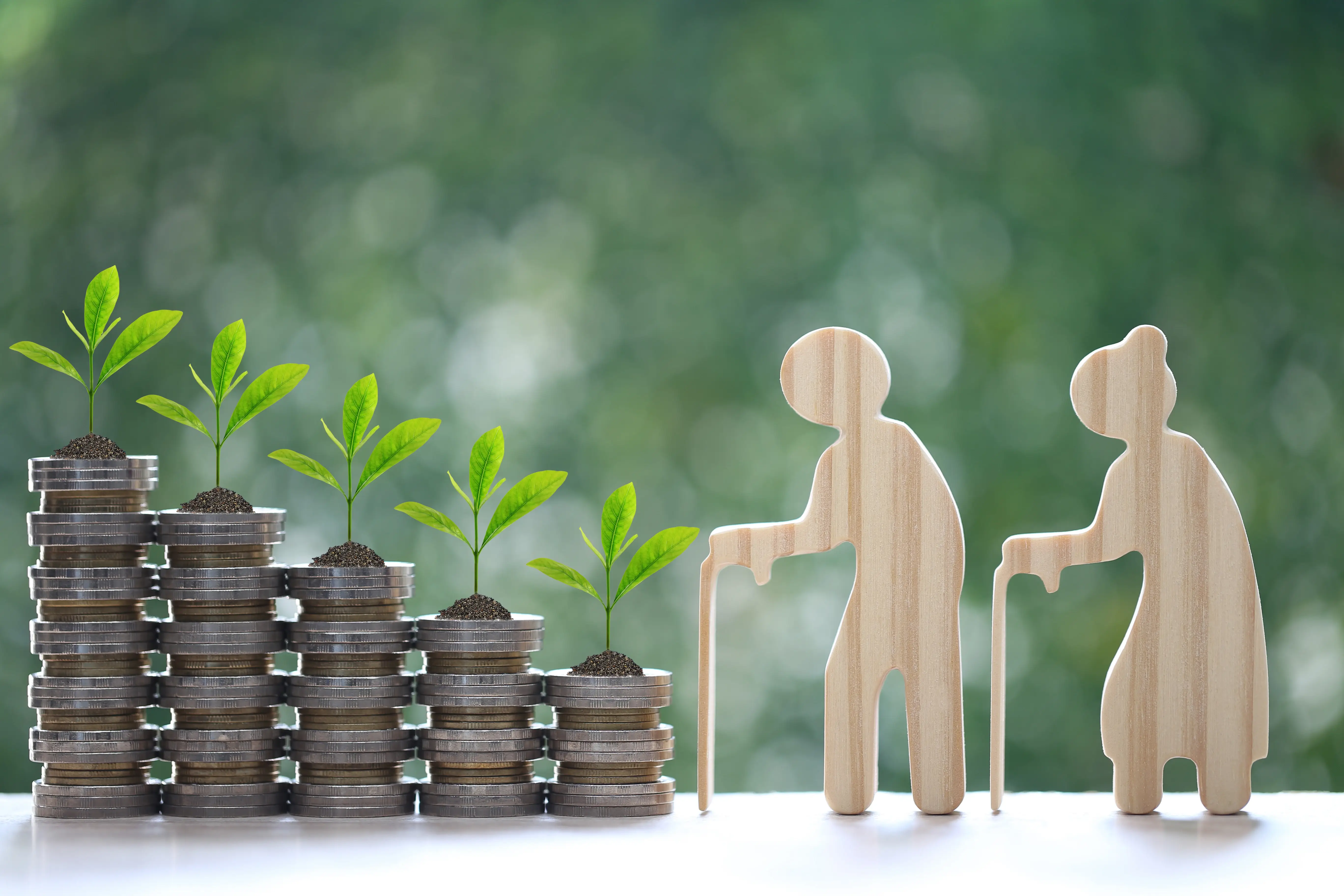 annuity deposit scheme