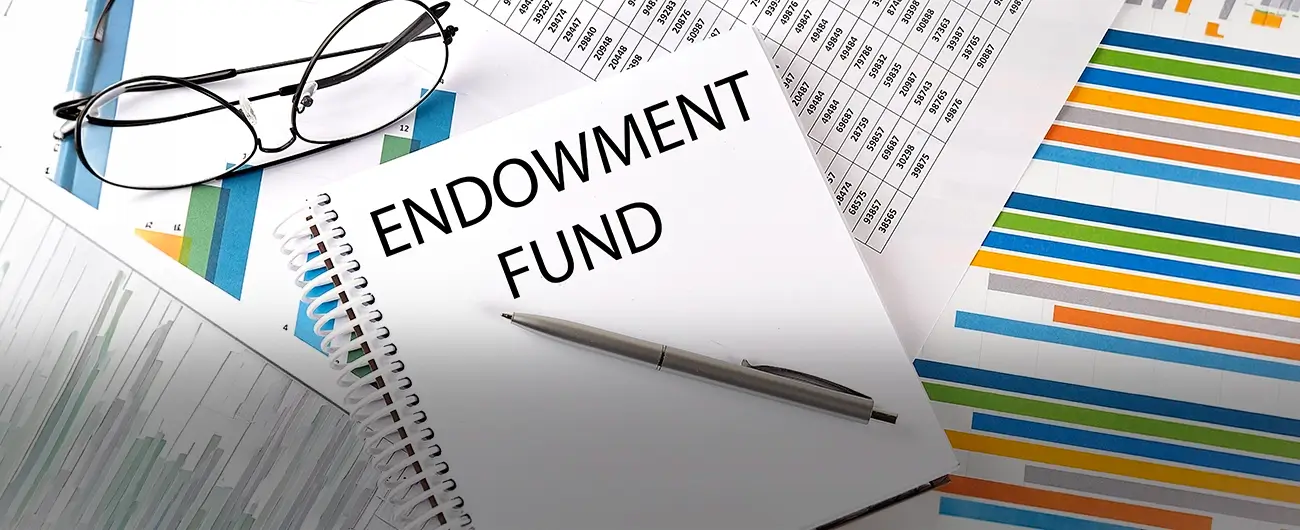 Endowment Assurance Plan 